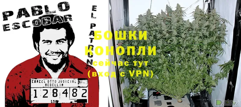 hydra зеркало  Электрогорск  Бошки Шишки THC 21% 